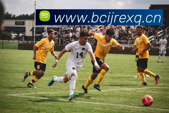 星空网手机官网入口全站App